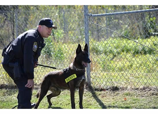 Stafford County Sheriff Office K9 Demonstration Open House 10/13/2012